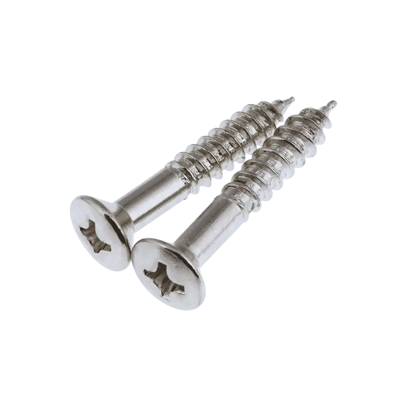 Bright Chrome Replacement Screws 1