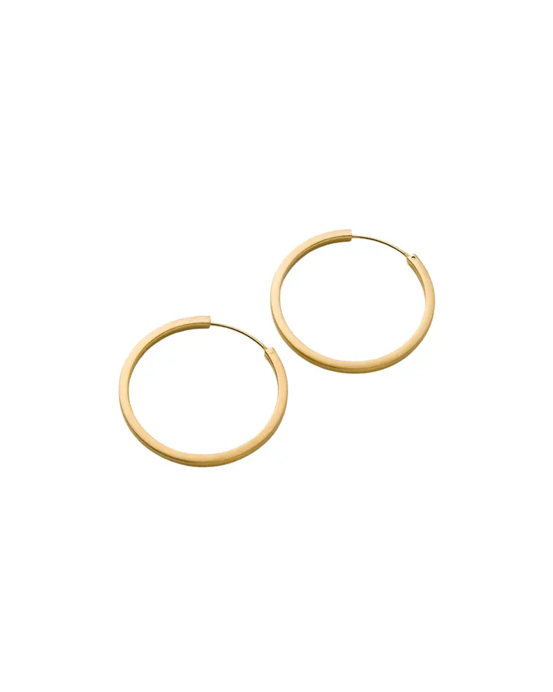 Circle Line Hoop Earrings In Gold 1