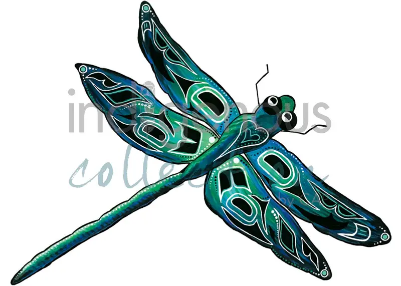 Dragonfly Wall Art Print By Kwakwaka’Wakw And French Canadian Artist Diane Levesque 1