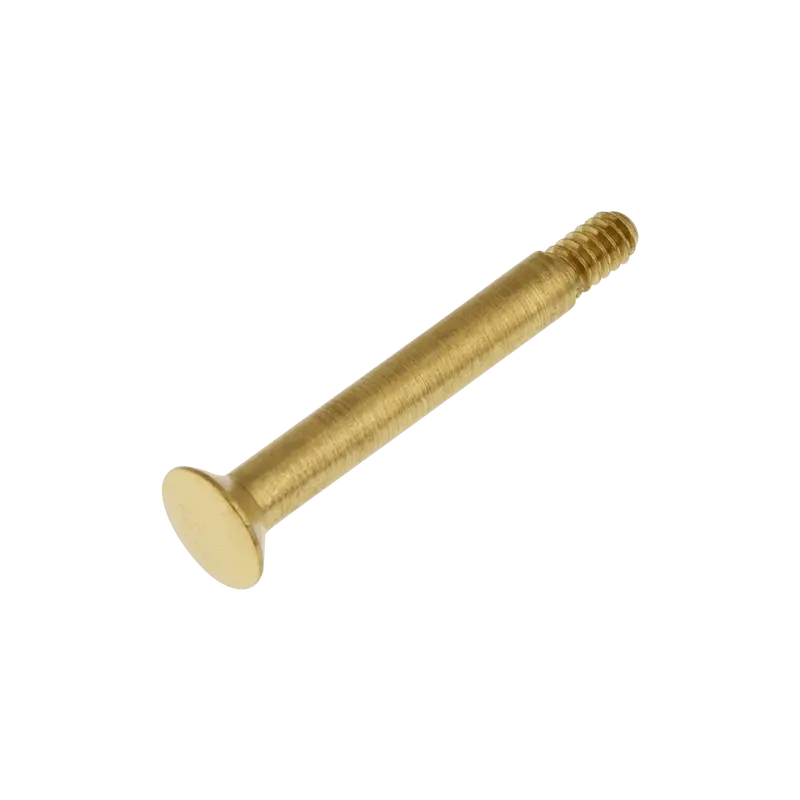 Polished Brass Privacy Release Pin 1