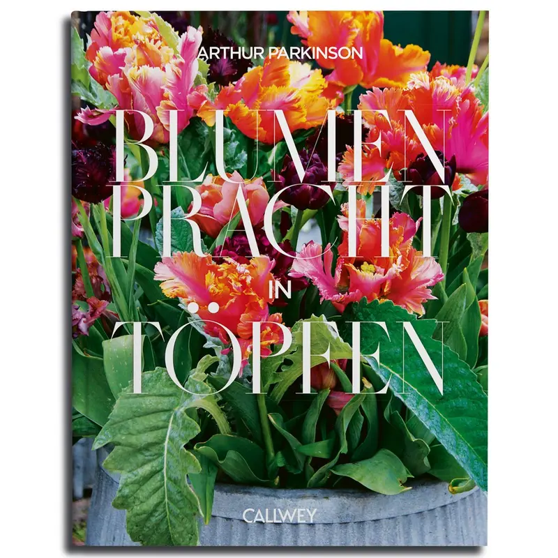Potted Blooms – Creative Container Gardening For Balconies And Patios 1