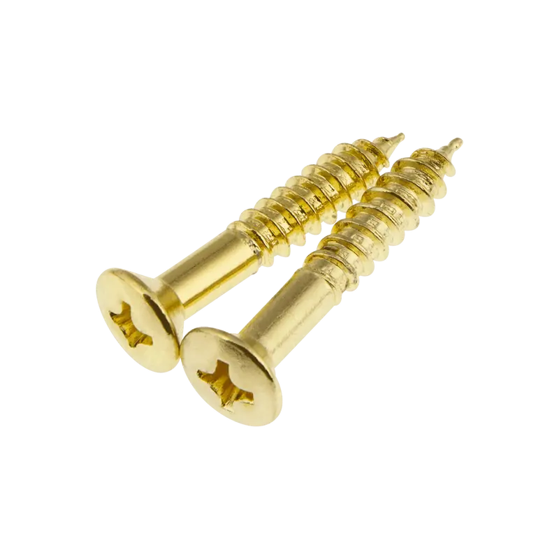 Unlacquered Brass Replacement Screws 1