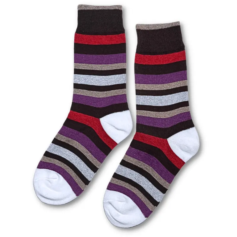 Vannucci Boys Brown-And-Purple Striped Socks – Ss1210 1