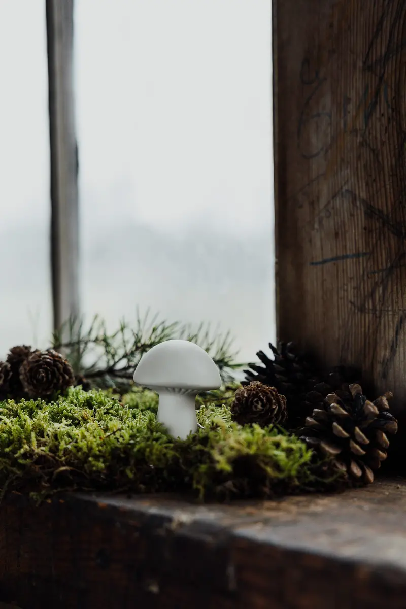 White Mushroom Ornament – Bovik Collection 1